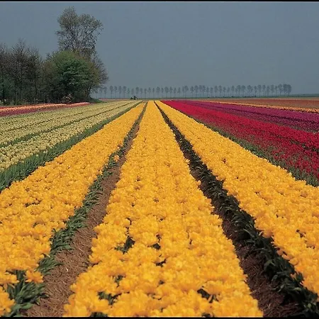 Holiday home House Number 3 Comfortable *